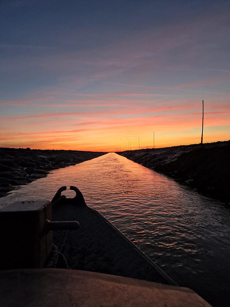 Les huitres à Bouin par Front et Fils